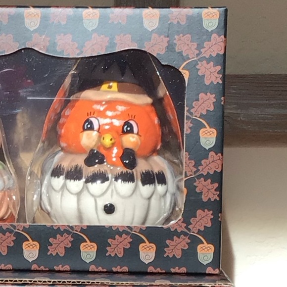 Johanna Parker turkey and owl Salt & Pepper Shakers 🍁 - Picture 11 of 16